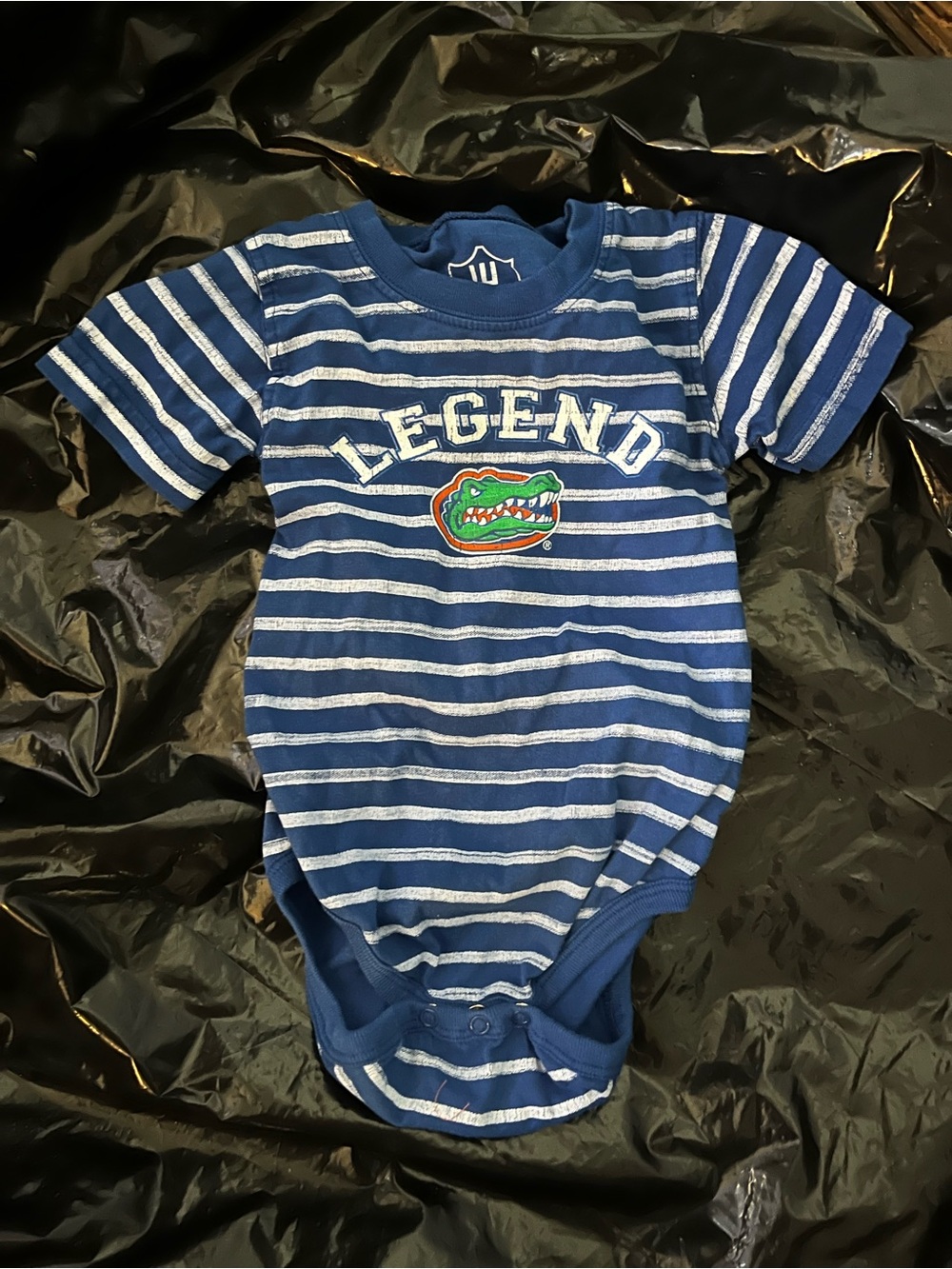 Fl Gators baby onesie